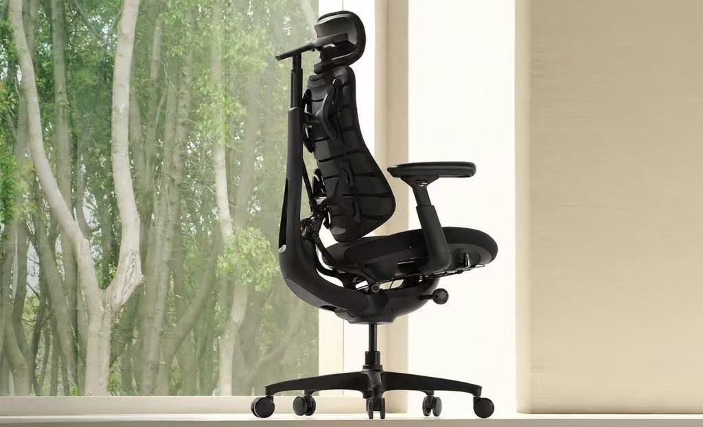 libernovo se Image_20260728150103_608_3.jpg
