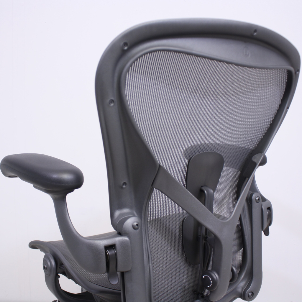 Поддержка поясницы Aeron PostureFit SL